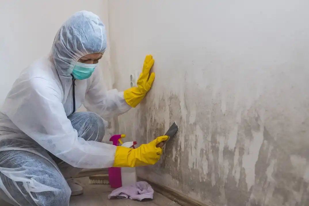 water damage restoration service Locustwood